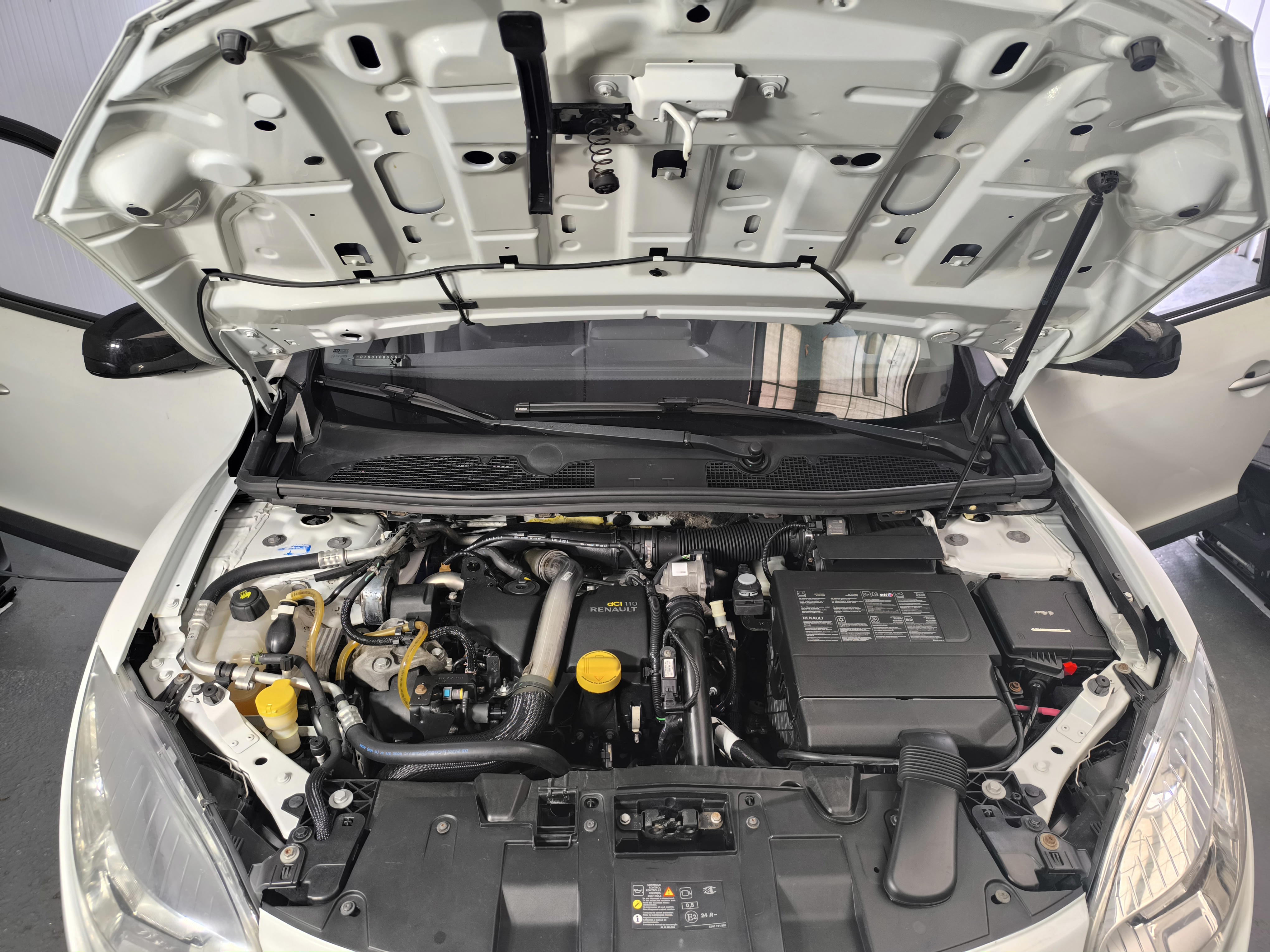 Lucrare Bloom Detailing