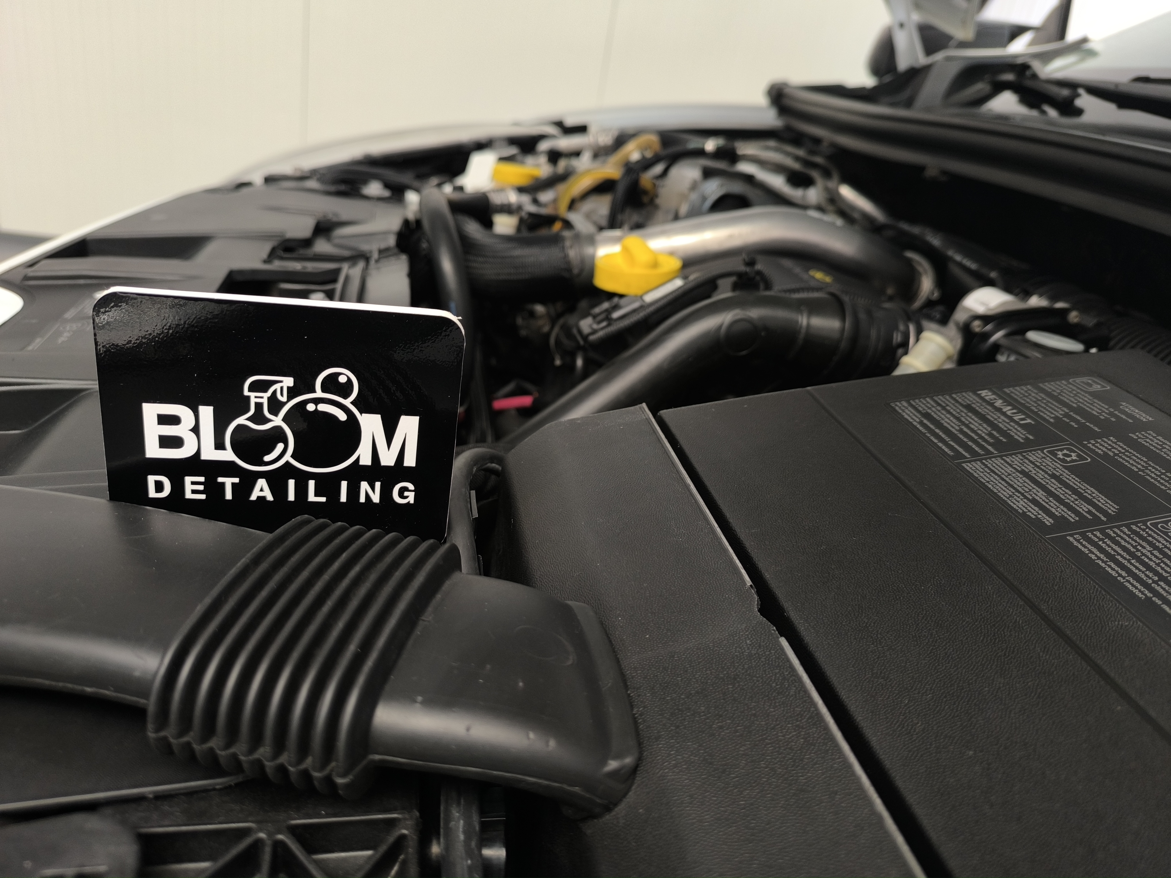 Lucrare Bloom Detailing