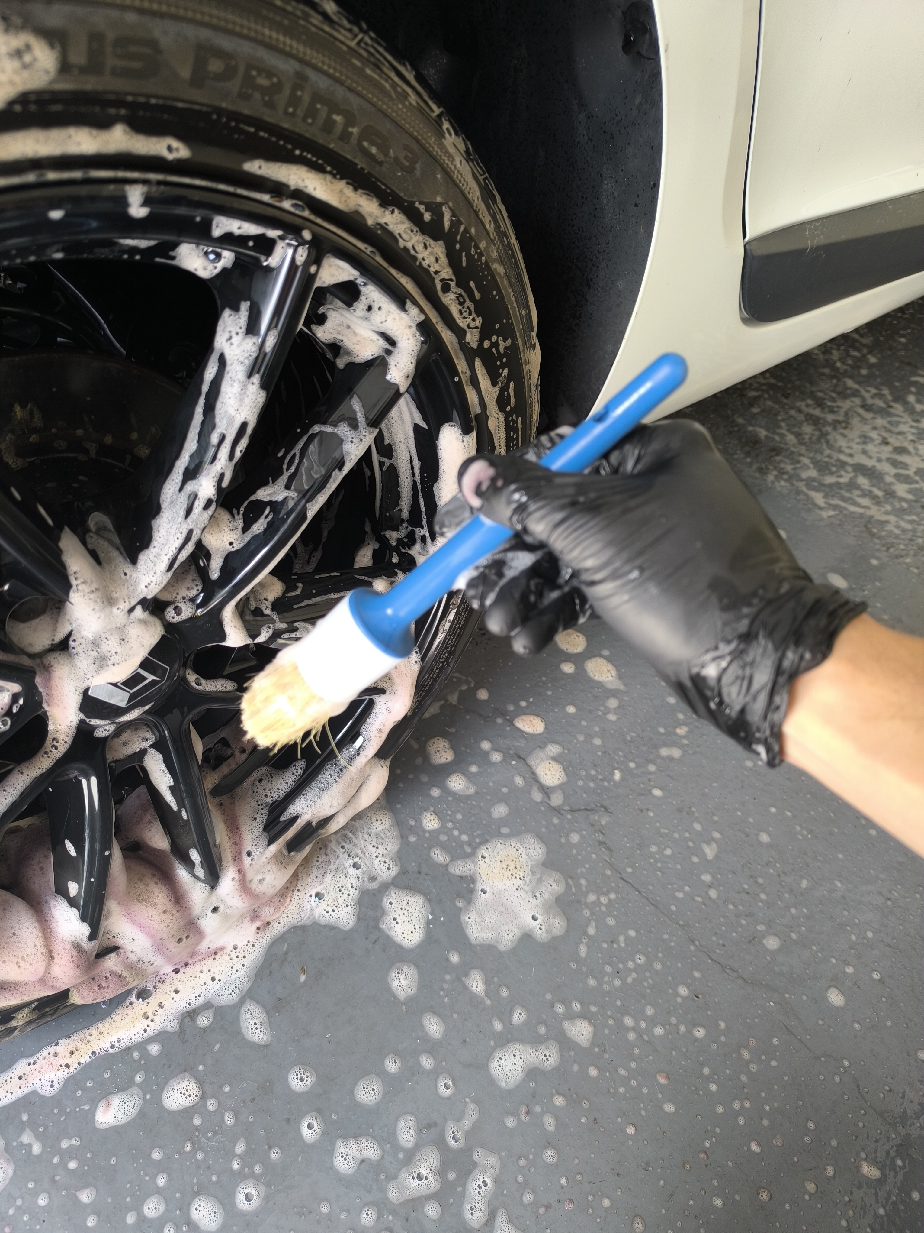 Lucrare Bloom Detailing